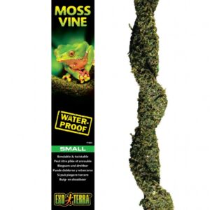 EX MOSS VINE BUIGZAME LIAAN Small