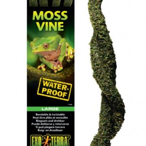 EX MOSS VINE BUIGZAME LIAAN Large