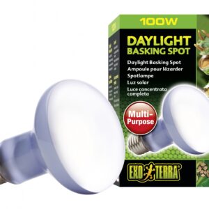 EX DAGLICHT WARMTESPOT R25/100W