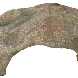 Reptielen-schuilplaats 27 x 10 x 22 cm
