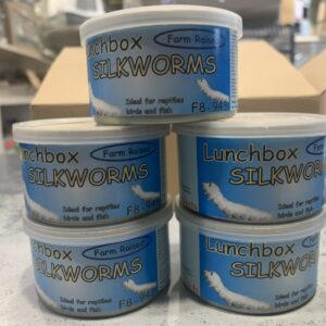 Lunch box zijderupsen 34gr