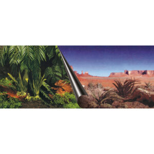 POSTER ACHTERWAND JUNGLE & DESSERT 120x50cm