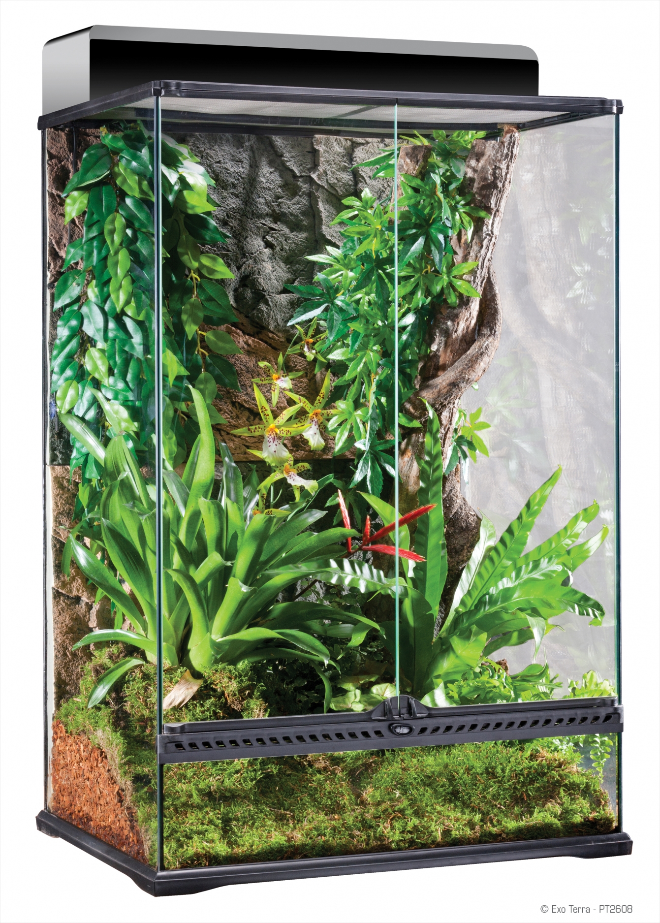 Natural Terrarium, GEAVANCEERD REPTIELENVERBLIJF Medium/X-Tall - 60 x 45 x 90 cm - 24” x 18” x 36” Natural Terrarium, GEAVANCEERD REPTIELENVERBLIJF Medium/X-Tall - 60 x 45 x 90 cm - 24” x 18” x 36”