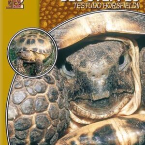 Les Guides Reptilmag - La tortue des steppes