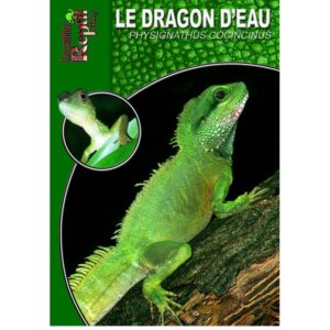 Le Dragon d'eau - Physignathus cocincinus