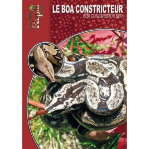 Agrandir l'image Le Boa Constricteur - Boa constrictor