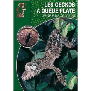Les Geckos à Queue Plate - Genre Uroplatus