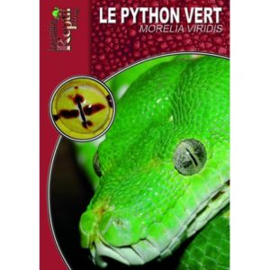 Agrandir l'image Le Python Vert - Morelia viridis