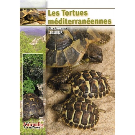 Les tortues mediterraneennes Les tortues mediterraneennes