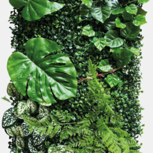 Repto plant achterwand 40x60cm