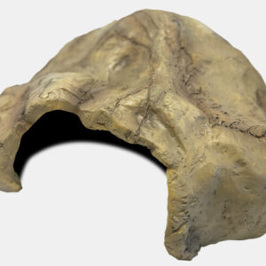 Repto cave xl 38x12x 30cm