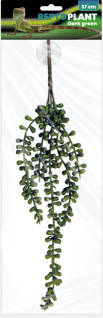 Repto plant dark green 37 cm Repto plant dark green 37 cm