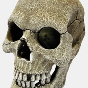 Repto deco human skull xl 16x22x20cm