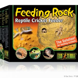 Feeding rock reptile cricket feeder