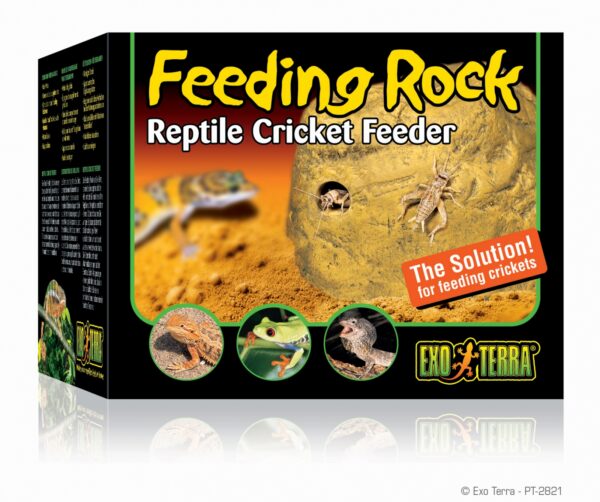 Feeding rock reptile cricket feeder