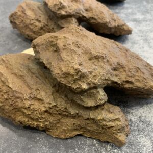 schuilrots 25x16x7cm