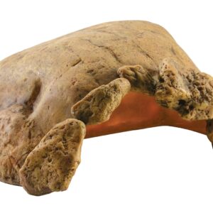 EX SCHILDPADDEN GROT XXL