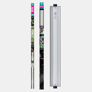 Arcadia pro T5 set forest 6% uvb 54 watt lamp inbegrepen