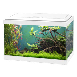 AQUARIUM AQUA 20 CLASSIC 40x20x24,8CM zwart