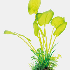 SF art plant 25 cm Echinodorus
