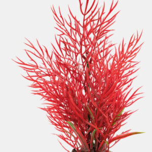 SF art plant 25 cm Ludwigia