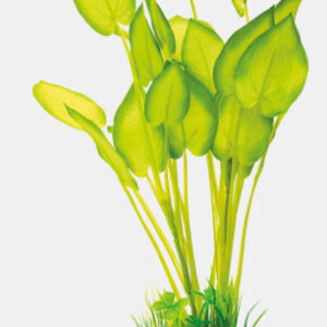 SF Art Plant 40cm Echinodorus