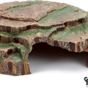 Giganterra grot forest XL 29x23x10cm