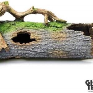 Giganterra stam 11x11x26cm