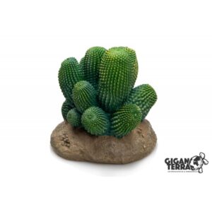 Giganterra Cactus 12x12x13cm
