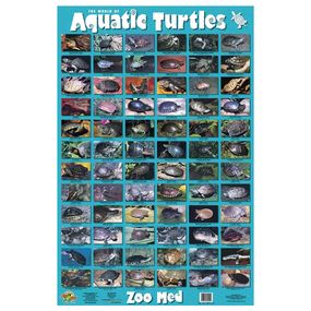 Zoo Med - World Of Aquatic Turtle Poster