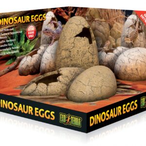 EX DINOSAURUS EIEREN