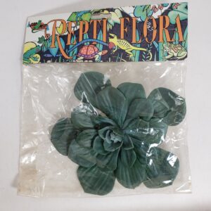 Zoomed reptiflora Large lily pad green