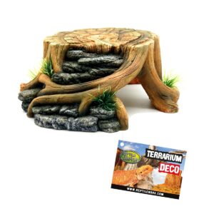 boomstronk 23x22x9cm