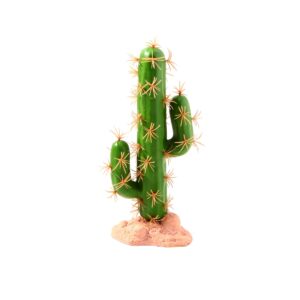 Cactus 22cm
