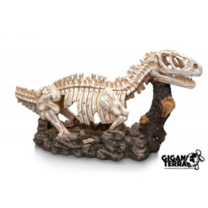 Dinosaurus skelet extra large 60x20x35cm