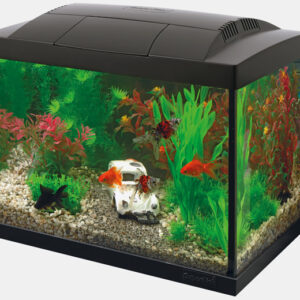 SF START 20 GOLDFISH KIT ZWART