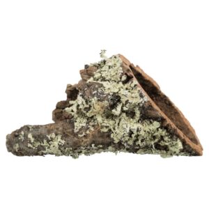 Kurktunnel XS?S: tot ? 6/20 cm