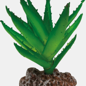 Repto Plant Aloe Vera