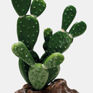 Repto Plant Cactus Opunita