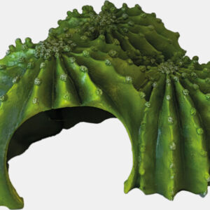 Repto deco cactus triple