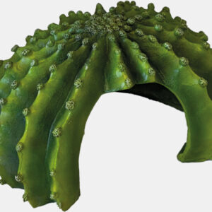 Repto deco cactus xl