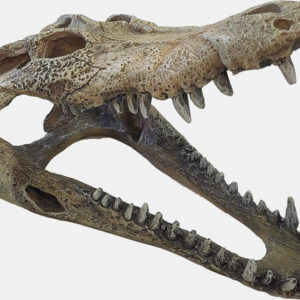 Repto deco crocodile large 25cm