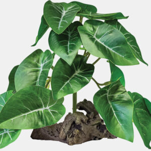 REPTO PLANT ON DECO ELEPHANT GREEN