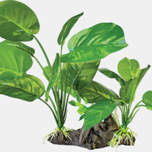 REPTO PLANT ON DECO DARK GREEN