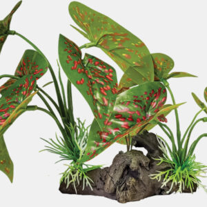 REPTO PLANT ON DECO ELEPHANT RED