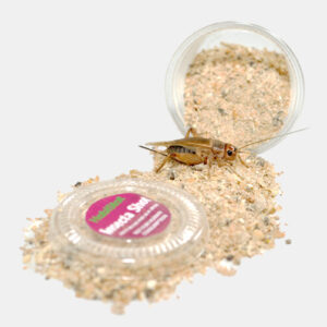 Habistat Insecta Shot