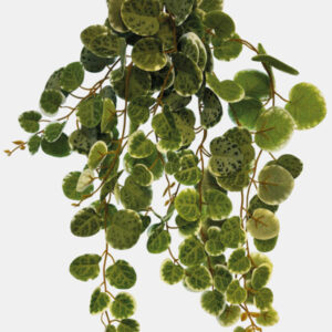 Repto plant hanging round leaves 46cm
