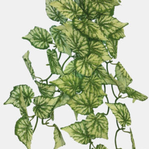 Repto plant hanging hedera 46cm