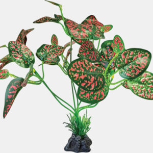 Repto plant standing red\green