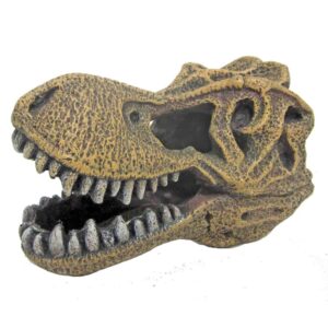 t-rex skull/schedel